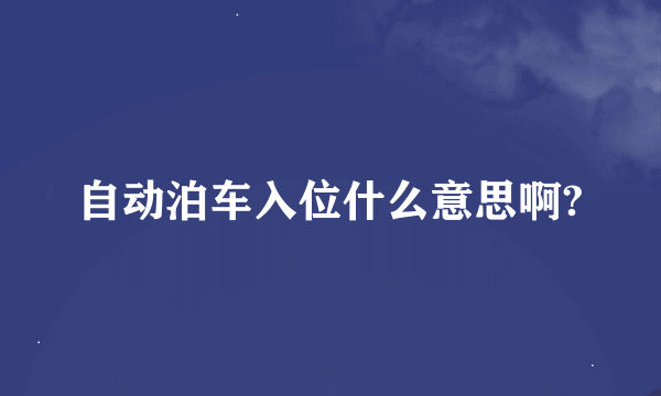 自动泊车入位什么意思啊?