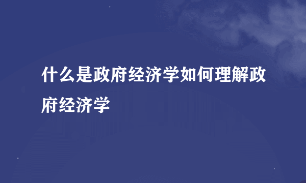 什么是政府经济学如何理解政府经济学