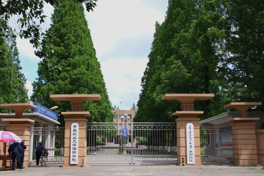 青岛农业大学海都学院怎么样啊？