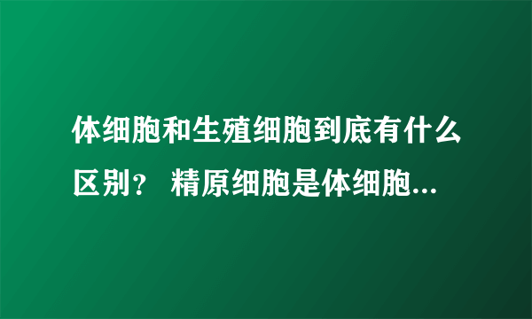 体细胞和生殖细胞到底有什么区别？ 精原细胞是体细胞还是原始生殖细胞？