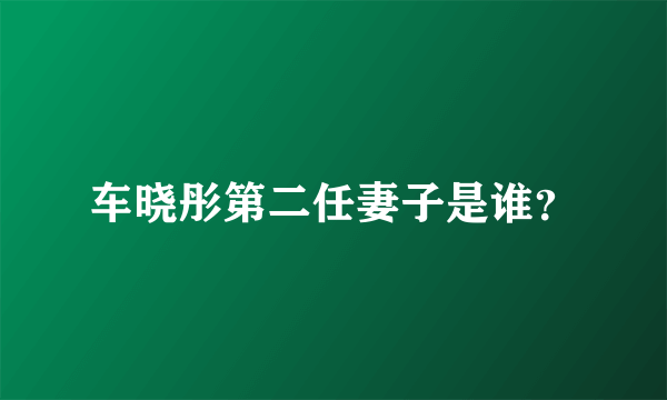 车晓彤第二任妻子是谁？