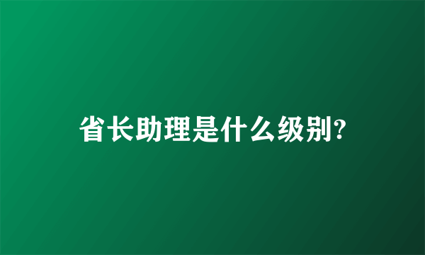 省长助理是什么级别?