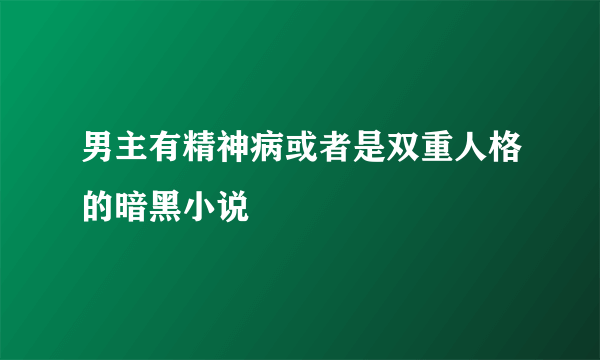 男主有精神病或者是双重人格的暗黑小说