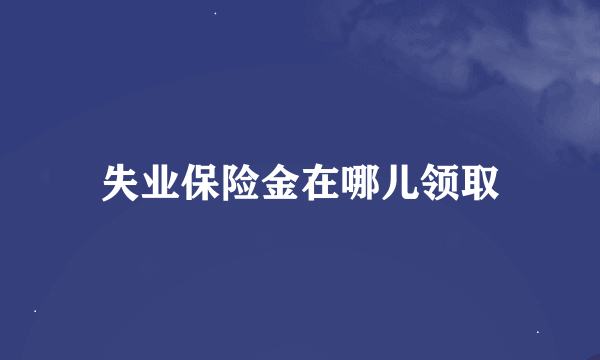 失业保险金在哪儿领取