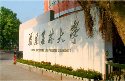 福建农林大学几本