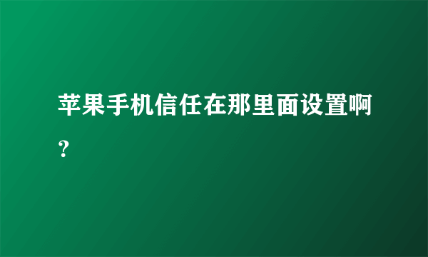 苹果手机信任在那里面设置啊？