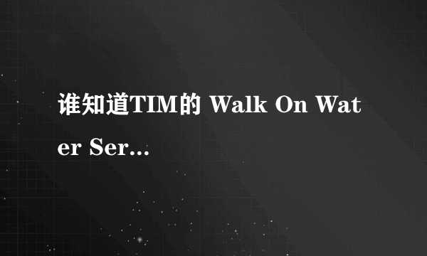 谁知道TIM的 Walk On Water Serendipity 的中文歌词的意思啊