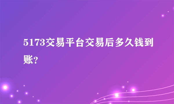 5173交易平台交易后多久钱到账？