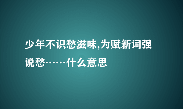 少年不识愁滋味,为赋新词强说愁……什么意思