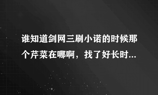 谁知道剑网三刷小诺的时候那个芹菜在哪啊，找了好长时间了！！！最好羊腿之后怎么办啊