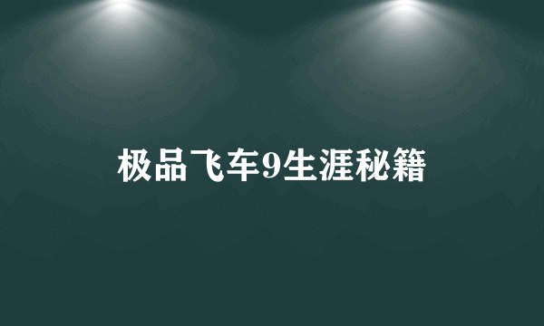 极品飞车9生涯秘籍