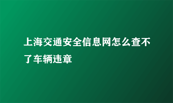 上海交通安全信息网怎么查不了车辆违章