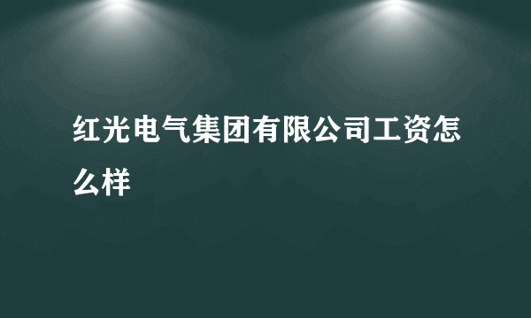 红光电气集团有限公司工资怎么样