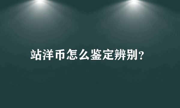 站洋币怎么鉴定辨别？