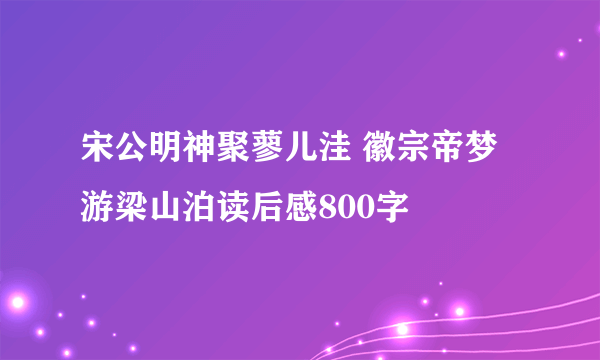 宋公明神聚蓼儿洼 徽宗帝梦游梁山泊读后感800字