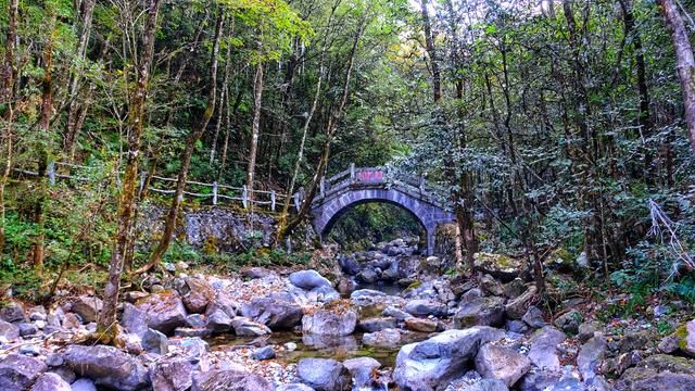 温州乌岩岭有什么景点？