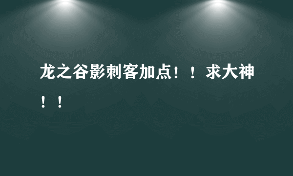 龙之谷影刺客加点！！求大神！！