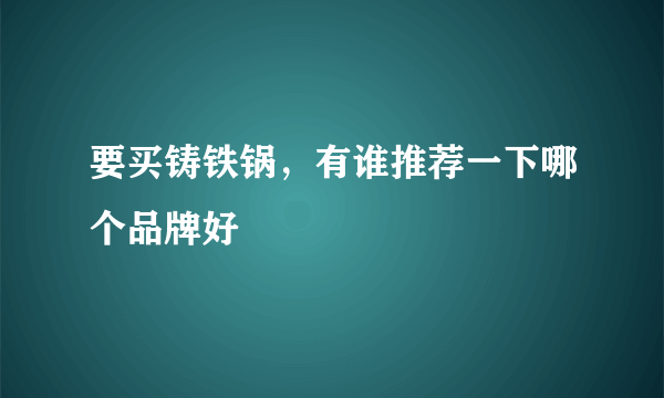 要买铸铁锅，有谁推荐一下哪个品牌好