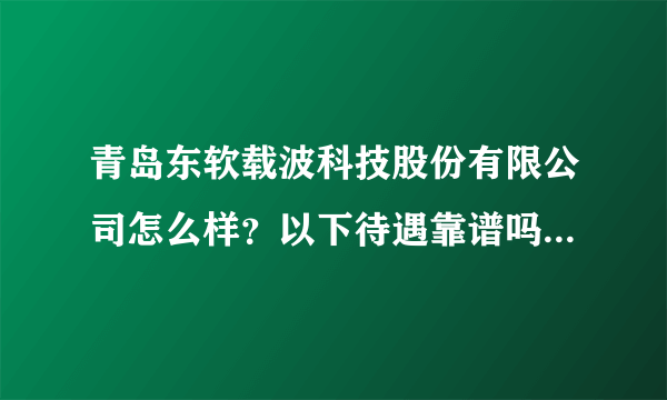 青岛东软载波科技股份有限公司怎么样？以下待遇靠谱吗？有没有前景？？？