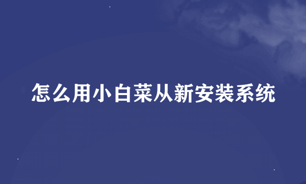 怎么用小白菜从新安装系统