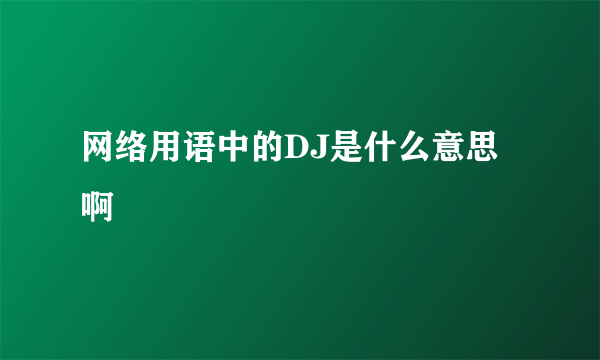 网络用语中的DJ是什么意思啊