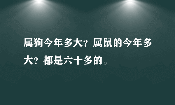 属狗今年多大？属鼠的今年多大？都是六十多的。