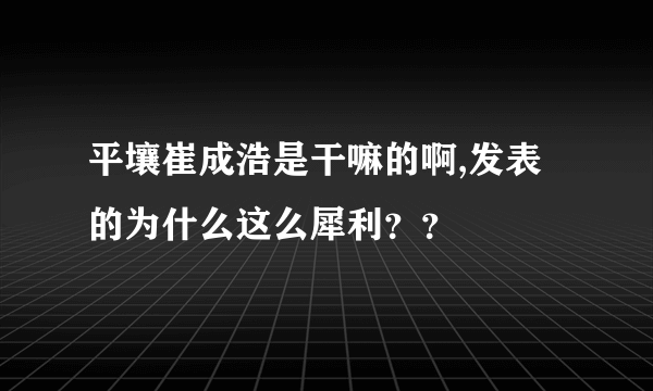 平壤崔成浩是干嘛的啊,发表的为什么这么犀利？？