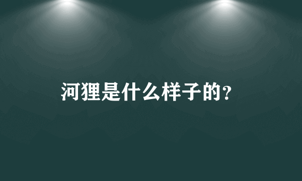 河狸是什么样子的？