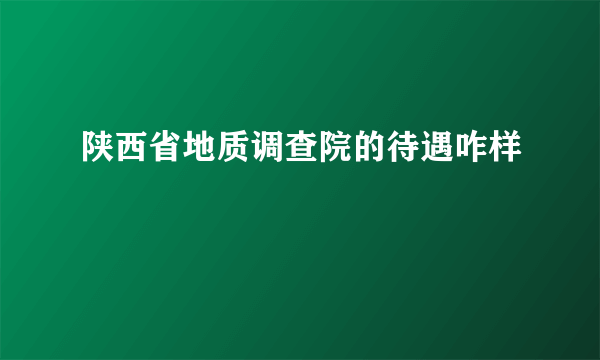 陕西省地质调查院的待遇咋样