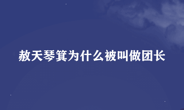 赦天琴箕为什么被叫做团长