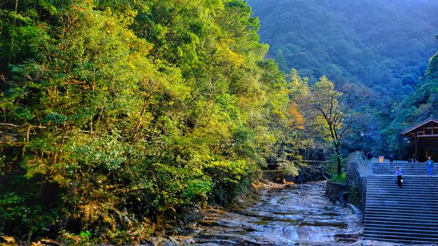 温州乌岩岭有什么景点？