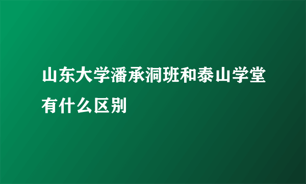 山东大学潘承洞班和泰山学堂有什么区别