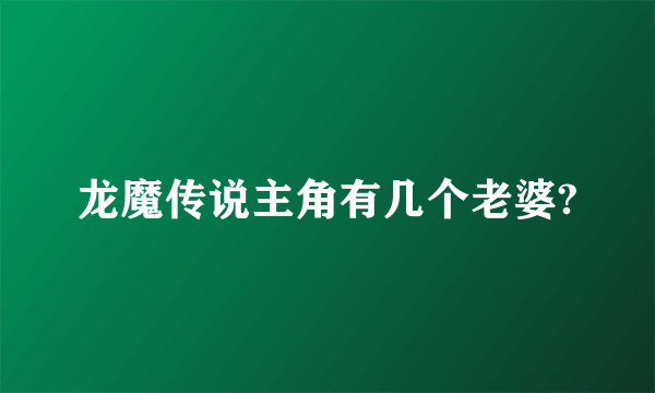 龙魔传说主角有几个老婆?