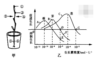 一般浓度上说uM,mM是指1uM/L,1mM/L还是1uM/ml,1mM/ml?