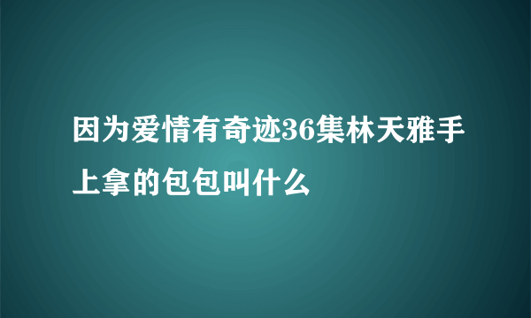 因为爱情有奇迹36集林天雅手上拿的包包叫什么