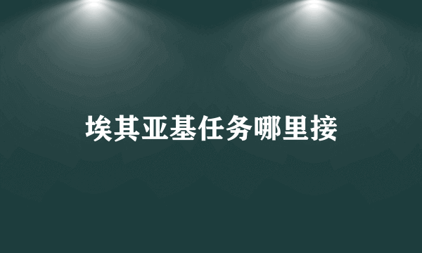 埃其亚基任务哪里接