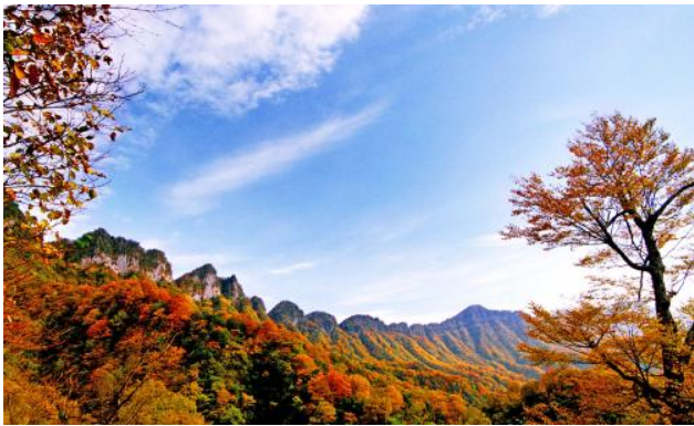 光雾山风景区最佳时间