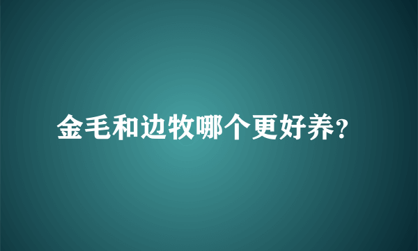 金毛和边牧哪个更好养？