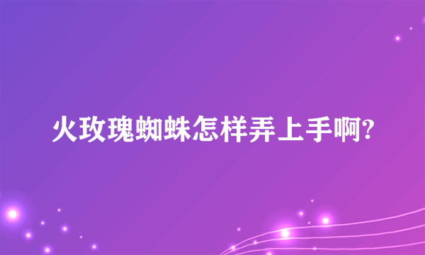 火玫瑰蜘蛛怎样弄上手啊?