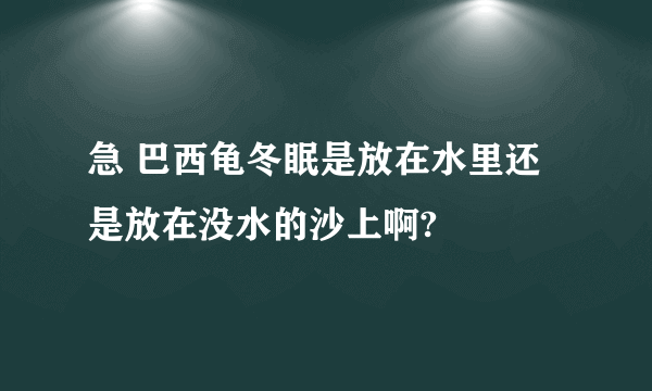 急 巴西龟冬眠是放在水里还是放在没水的沙上啊?