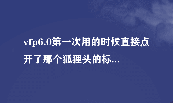 vfp6.0第一次用的时候直接点开了那个狐狸头的标志，是可以用的，但是之后试着安装了一下不成功，