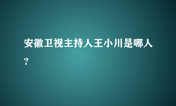 安徽卫视主持人王小川是哪人？