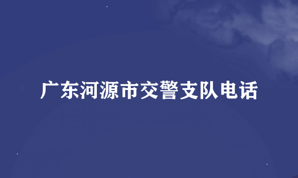 广东河源市交警支队电话