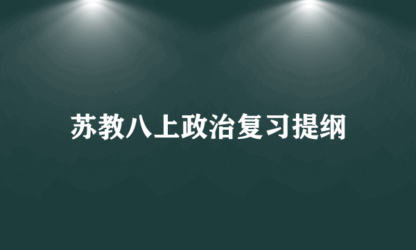 苏教八上政治复习提纲