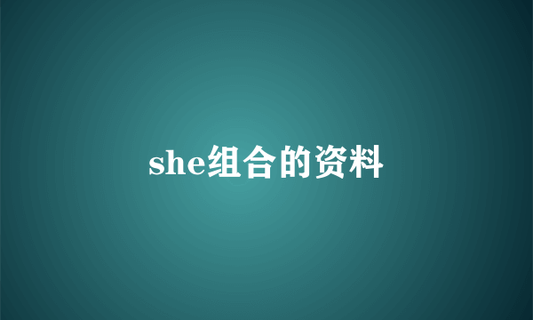 she组合的资料