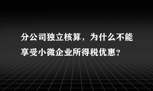 分公司独立核算，为什么不能享受小微企业所得税优惠？