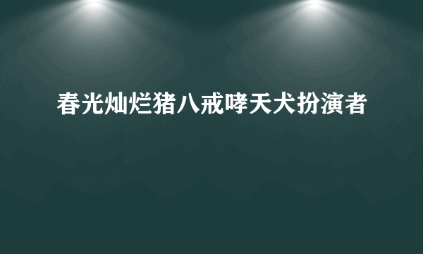 春光灿烂猪八戒哮天犬扮演者