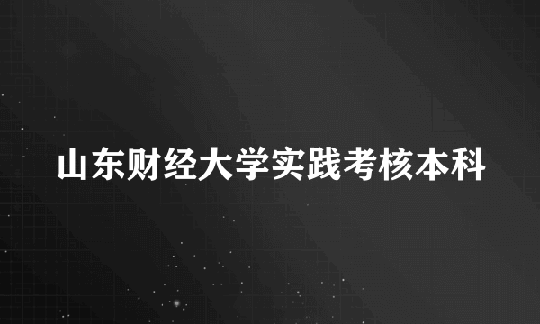 山东财经大学实践考核本科