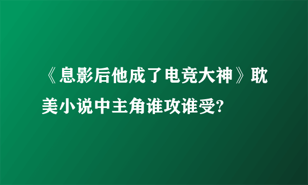 《息影后他成了电竞大神》耽美小说中主角谁攻谁受?