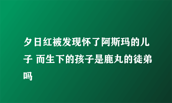 夕日红被发现怀了阿斯玛的儿子 而生下的孩子是鹿丸的徒弟吗